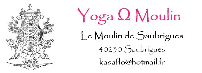 Week-end Yoga : Redécouvrir les fondamentaux du Yoga