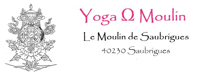 Week-end Yoga Détox