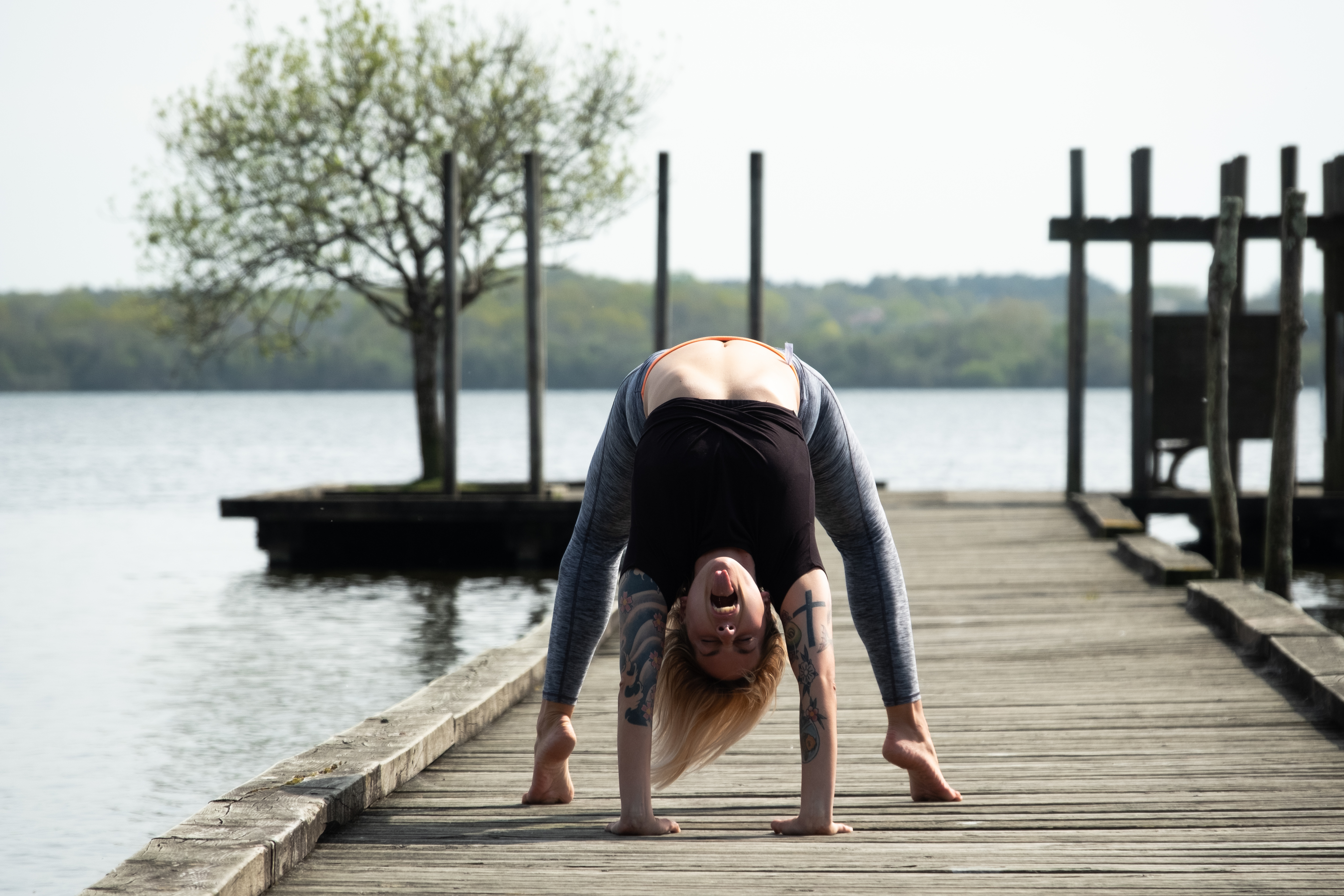Atelier  » Backbends  » (Flexions arrières)