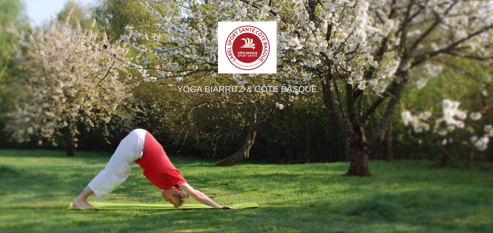 Cours de yoga Gratuit !