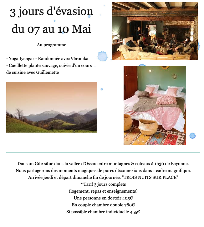 Retraite Yoga Iyengar dans les Pyrénées