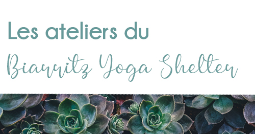 Atelier Yin Yoga : Les Méridiens