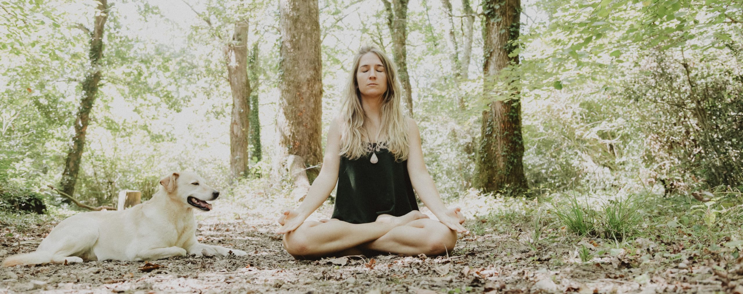 TALA YOGA, un yoga doux, d’observation et d’acceptation de soi