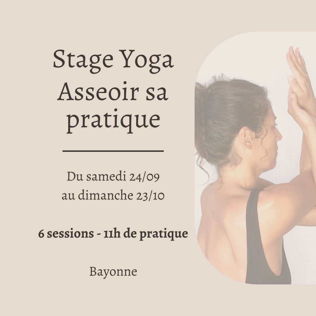 Stage Yoga: Asseoir sa pratique