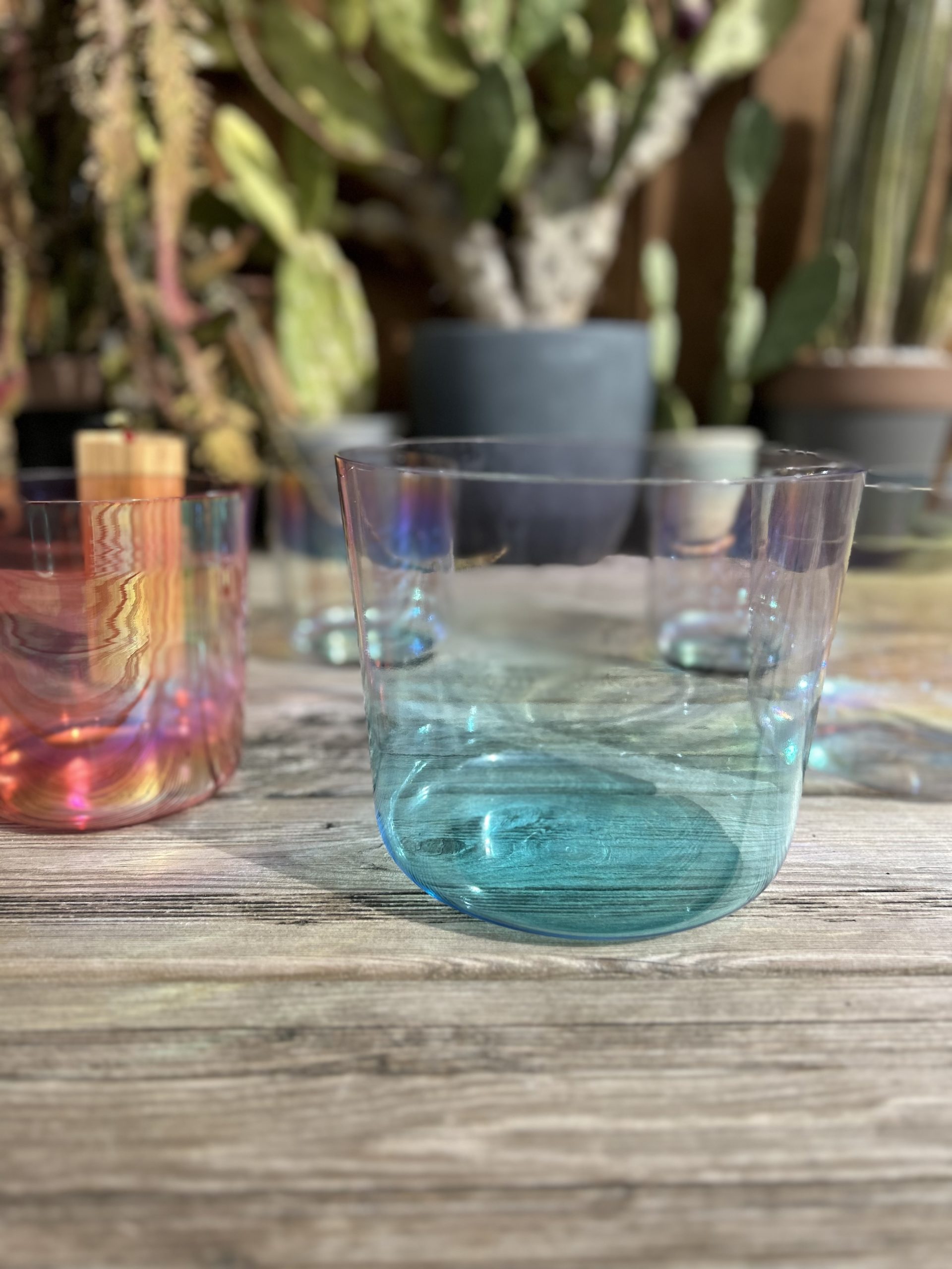 Atelier DETOX beauté holistique