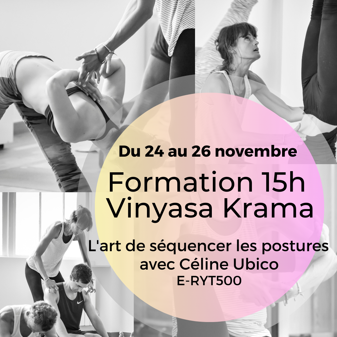 Formation 15h Vinyasa Krama: l’art de séquencer les postures